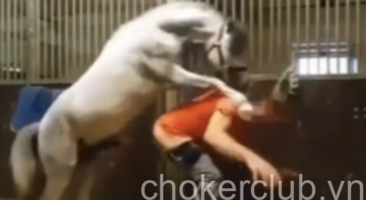 The Unfolding Of The &Quot;Horse Video Orange Shirt&Quot; Controversy