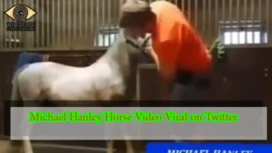2023 11 02 14 44 23 184716 Michael Hanley Horse Video Original Twitter Fbmre9Ls4I8