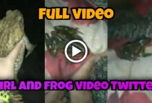 2023 11 04 16 36 26 455815 The Frog Video Viral Twitter Original Otqxddif0N4