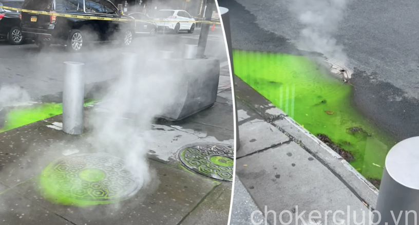 Unraveling The Green Slime Nyc Phenomenon
