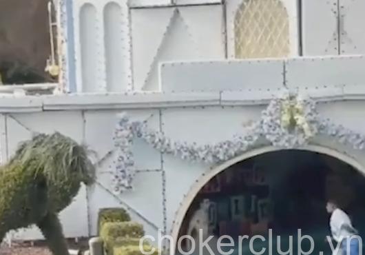 Watch Disneyland Small World Streaker Incident