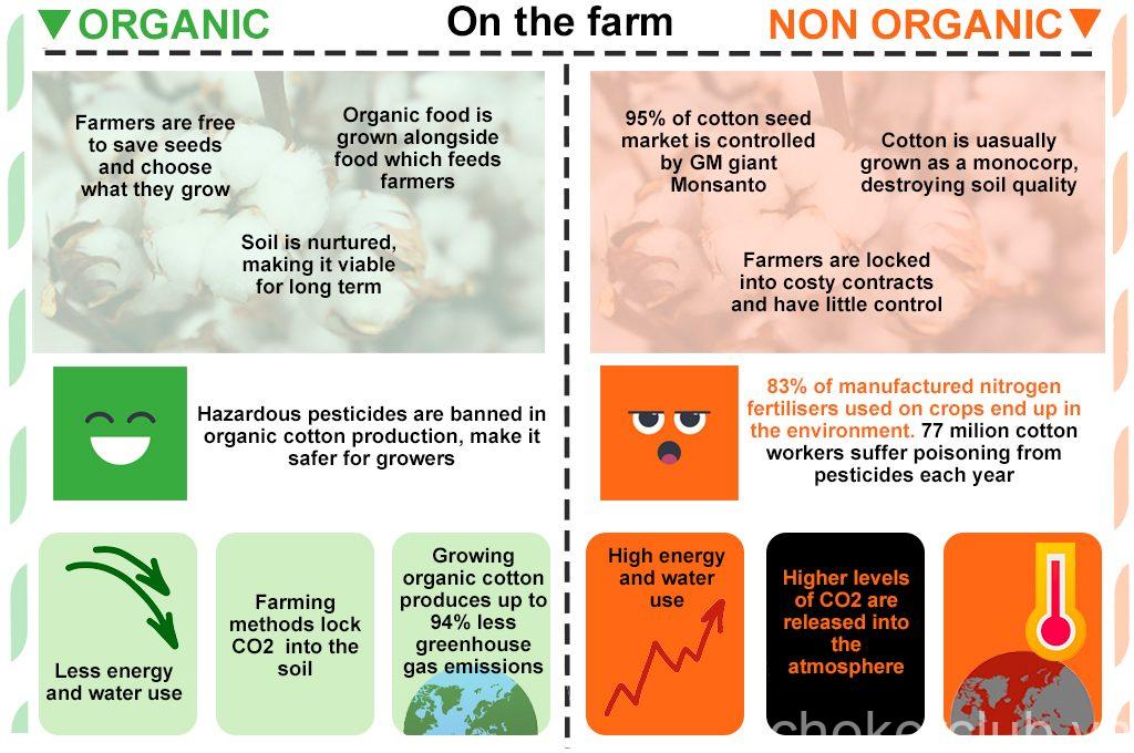 The Benefits Of Organic Cotton