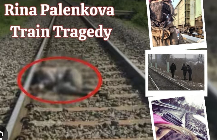 2023 12 17 22 38 51 043220 Screen Shot 2023 12 17 At 22.38.44 Rina Palenkova Train Video A Life To Honor Not Graphic Details To Share