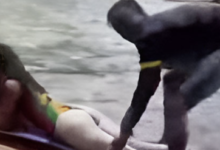 Jamaica Rafting Viral Video Original